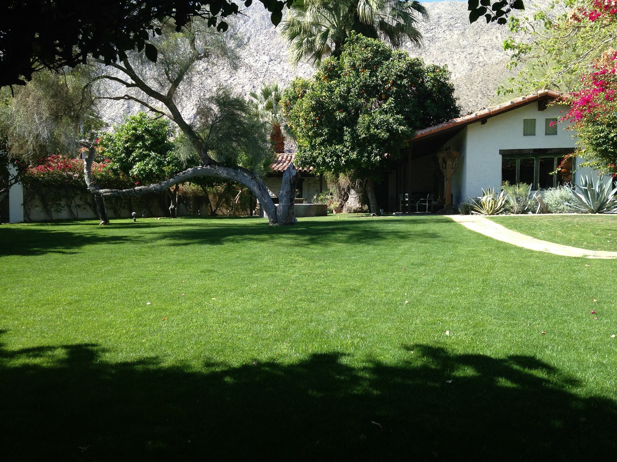 Casa Cody Bed & Breakfast Palm Springs Exterior photo